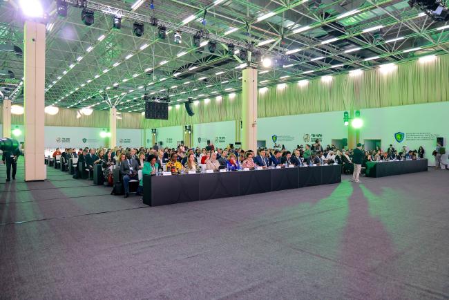 Participants of the High-Level Dialogue
