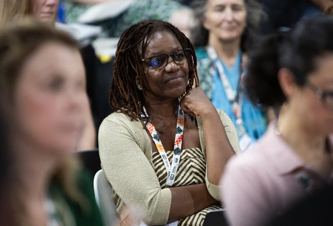 Participants - Land Restoration - COP30 - 15Nov