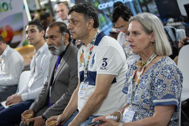 Participants 5 - Delta - COP30 - 17Nov