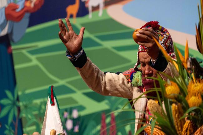 PeruvianCeremony_ITPGRFA_GB11_24th_AndresC-101459