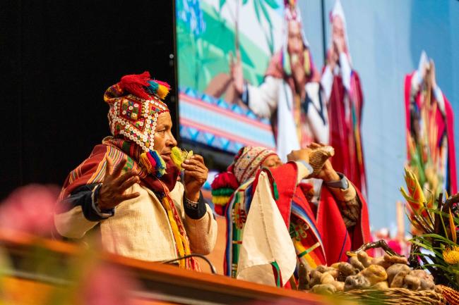 PeruvianCeremony_ITPGRFA_GB11_24th_AndresC-101472