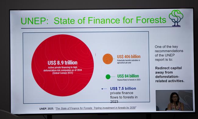 State of Finance - Reliance on land in NDCSe-20Nov-COP30