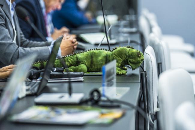 CITES COP20