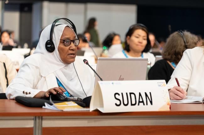 Sudan_ITPGRFA_GB11_25th_AndresC-101728