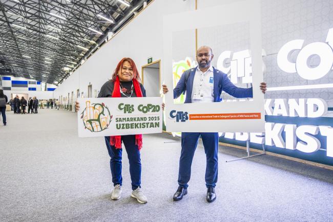 CITES COP20