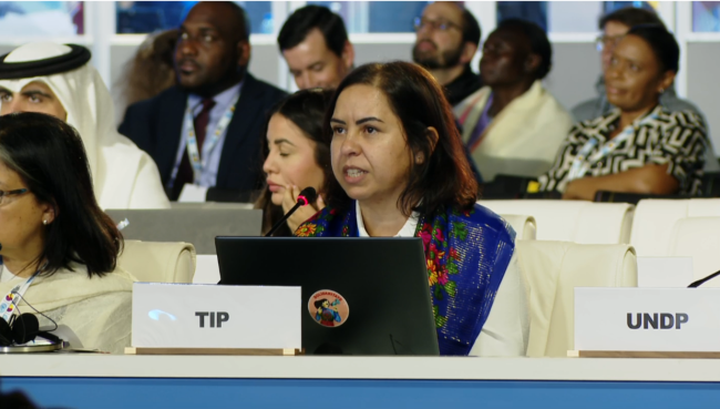 TIP_Representative_2ndWSSD_4Nov2025_AndresC_Web