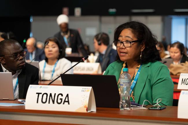 Tonga_ITPGRFA_GB11_25th_AndresC-101737