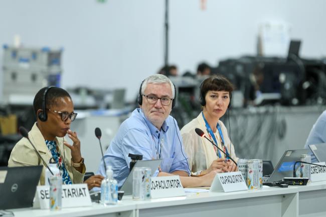 View of the dais during informal consultations on the review of the functions of the Climate Technology Centre