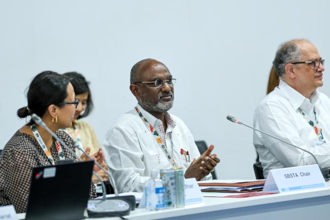Subsidiary Body for Scientific and Technological Advice (SBSTA) Chair Adonia Ayebare, Uganda