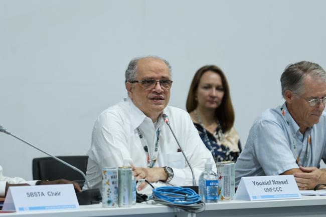 Youssef Nassef, UNFCCC Secretariat