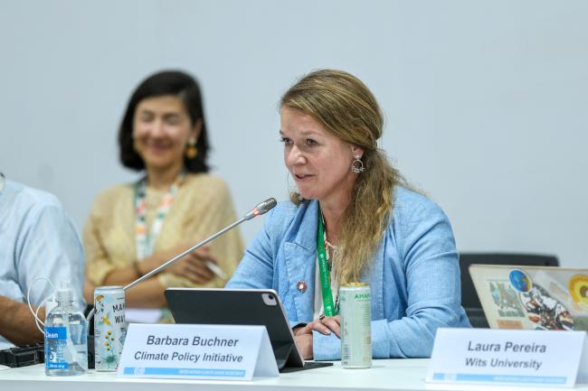 Barbara Buchner, Climate Policy Initiative