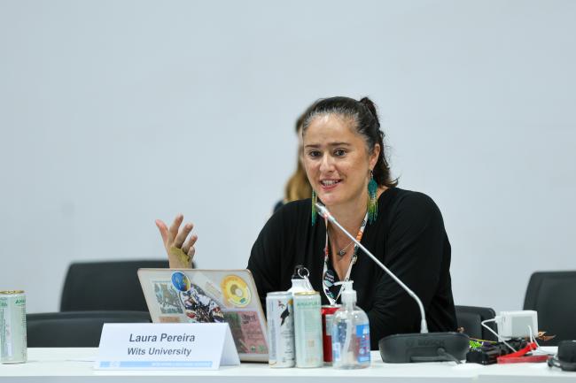 Laura Pereira, Wits University