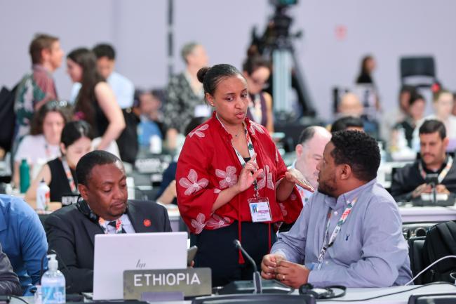 Plenary