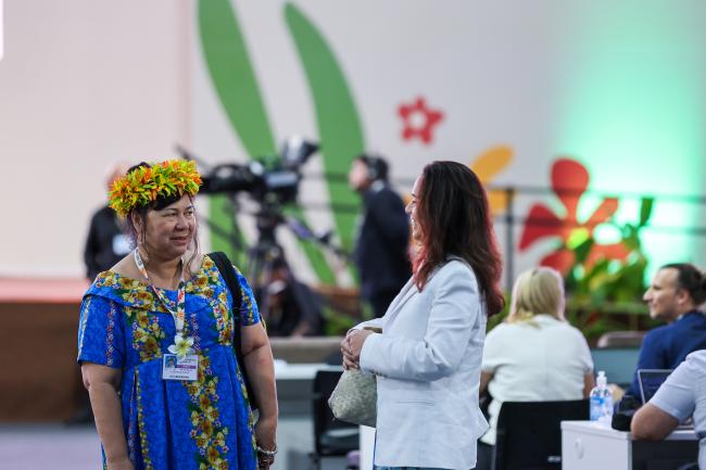 Plenary
