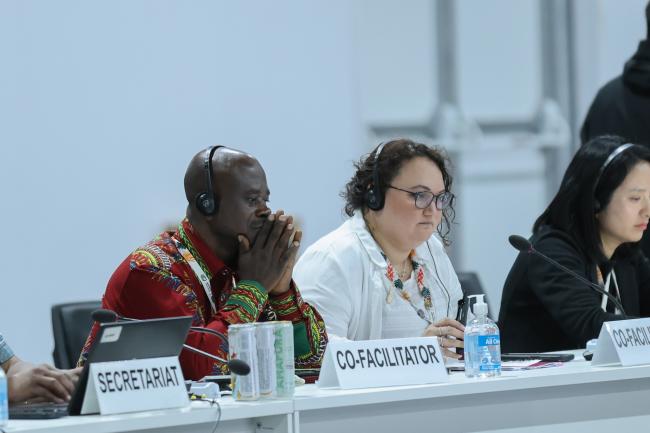 National adaptation plans informal consultations Co-Facilitators Antwi-Boasiako Amoah, Ghana, and Cassandra Moll, New Zealand