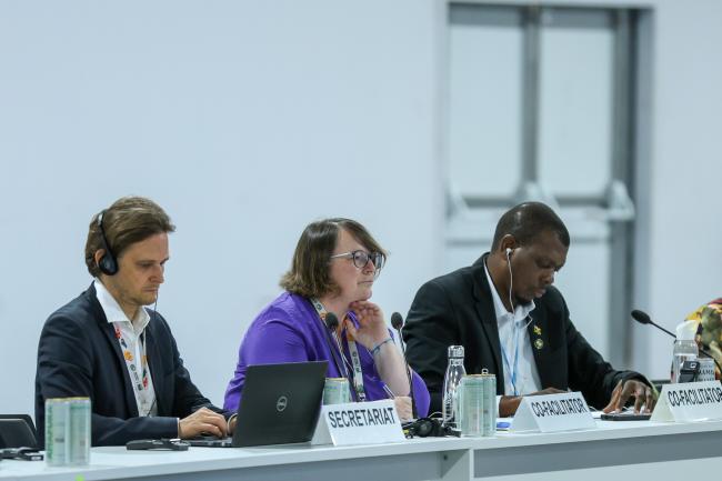 From L-R: Moritz Weigel, UNFCCC Secretariat; and technology implementation programme informal consultation Co-Facilitators Elfriede Anna More, Austria, and Omar Alcock, Jamaica 