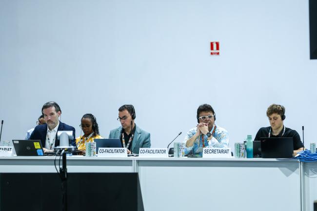 From L-R: Padraig Oliver, UNFCCC Secretariat; Informal consultations on the Sharm el-Sheikh dialogue Co-Facilitators Ralph Bodle, EU, and Zaheer Fakir, UAE; and Leonard Schmidt, UNFCCC Secretariat