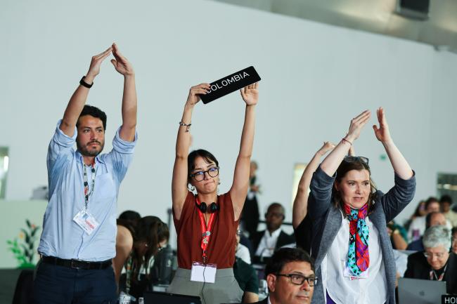 Delegates from Colombia raising a point of order
