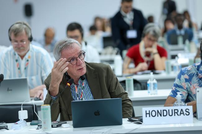 Andrei Marcu, Honduras