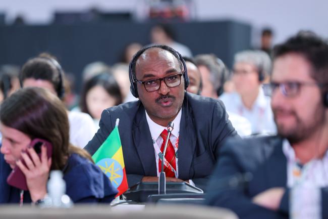 Seyoum Mekonen Hailu, State Minister of Planning and Development in Charge of Environment, Ethiopia