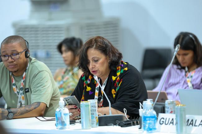 Amina Amharech, Indigenous Knowledge Holder, Morocco