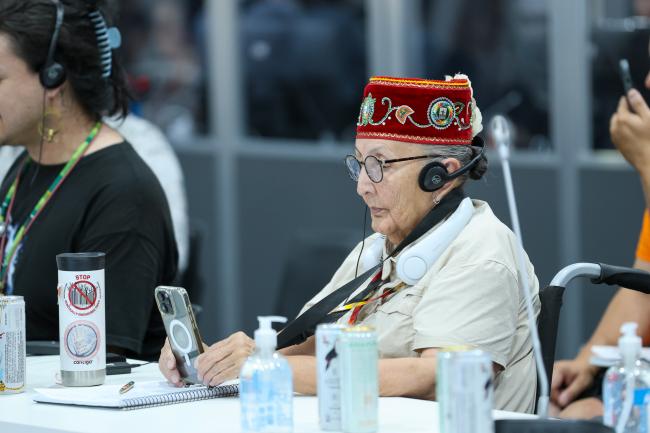 Great-Grandmother Mary Lyons, Ojibwe Elder