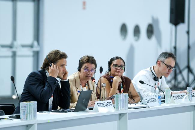From L-R: Moritz Weigel, UNFCCC Secretariat; Co-Facilitators for informal consultations on linkages between the Technology Mechanism and the Financial Mechanism Céline Phillips, France, and Edalmi Pinelo, Belize; and Roman Payo, UNFCCC Secretariat