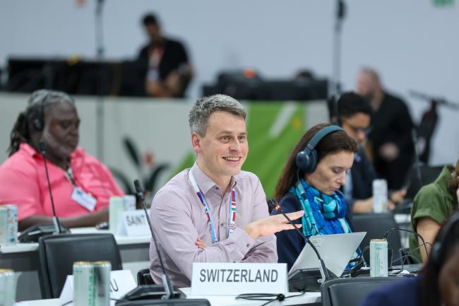 Simon Fellermeyer, Switzerland