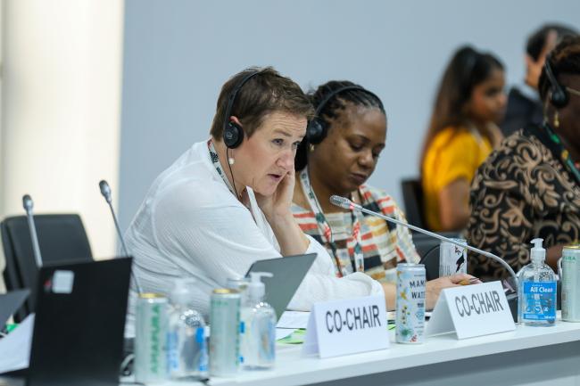 Co-Facilitator for informal consultations on arrangements for intergovernmental meetings Marianne Karlsen, Norway