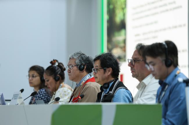 View of the dais during the Local Communities and Indigenous Peoples Platform (LCIPP) dialogue