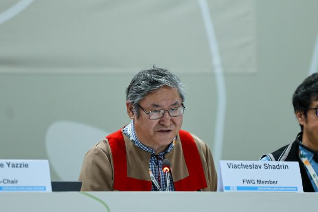 Viacheslav Shadrin, FWG Member