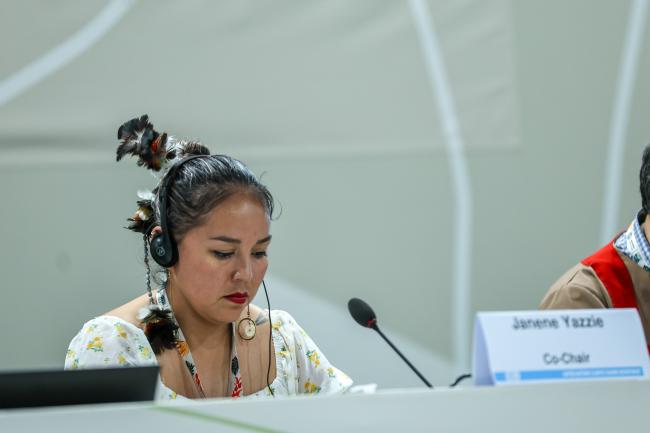 Fifth Annual Dialogue Co-Chair Janene Yazzie