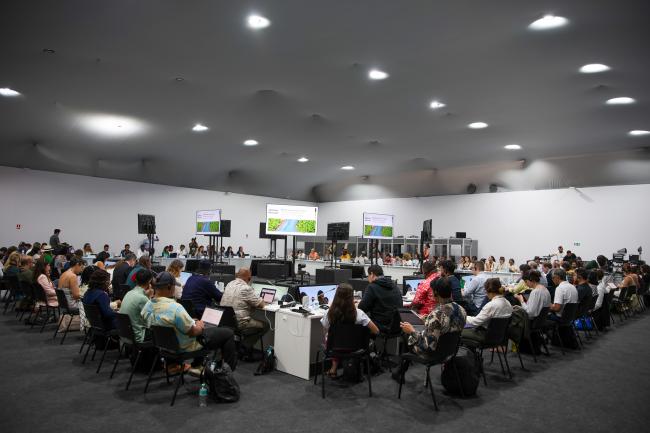 View of the room during the thematic workshop