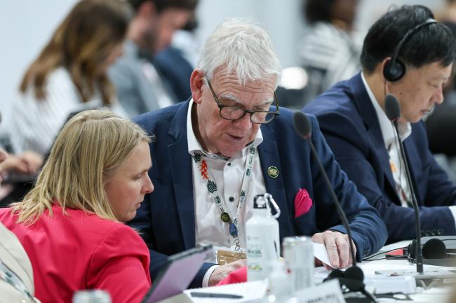 Hendrikje Reich, Germany, and Jochen Flasbarth, State Secretary, Federal Ministry for the Environment, Climate Action, Nature Conservation, and Nuclear Safety, Germany