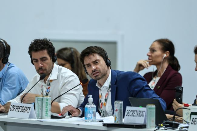 Túlio Andrade, COP 30 Presidency