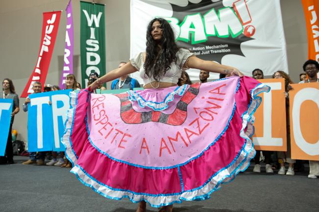 Respeite a Amazonia