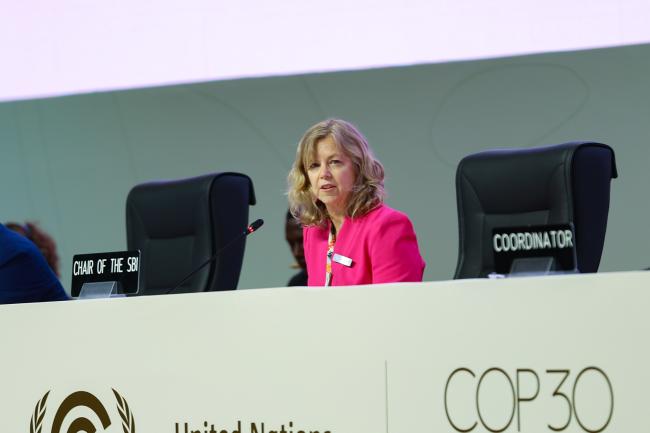 SBI Chair Julia Gardiner, Australia