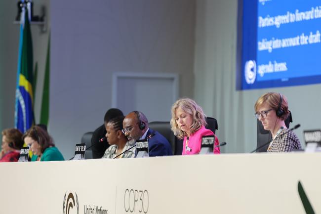 View of the dais during the plenaries