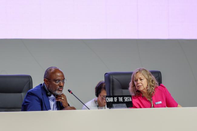 SBSTA Chair Adonia Ayebare, Uganda, and SBI Chair Julia Gardiner, Australia