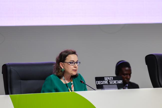 Noura Hamladji, Deputy Executive Secretary, UNFCCC