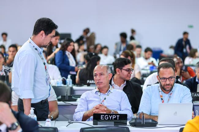 COP Plenary