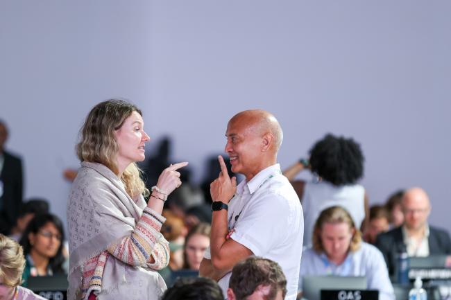 COP Plenary