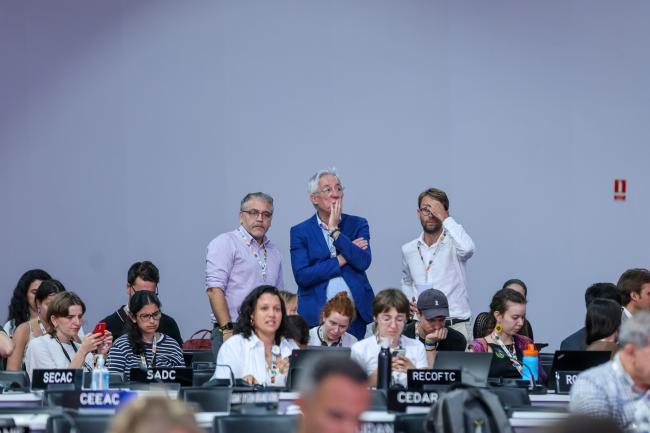 COP Plenary