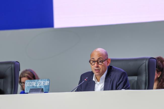 UNFCCC Executive Secretary Simon Stiell