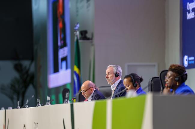 COP 30 President André Corrêa do Lago