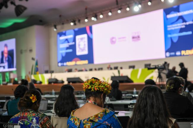 Plenary