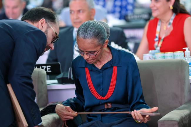 Marina Silva, Minister of the Environment and Climate Change, Brazil