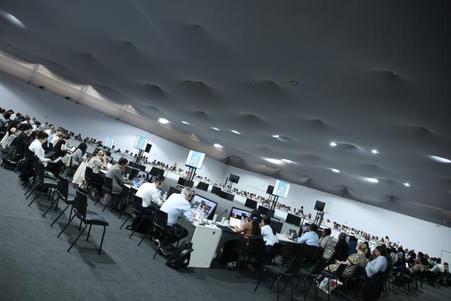 View of the room during the contact group on the just transition work programme