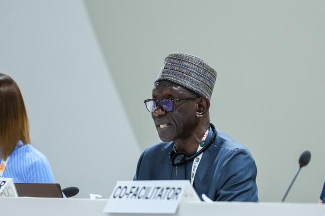 El Hadji Mbaye Diagne, Senegal