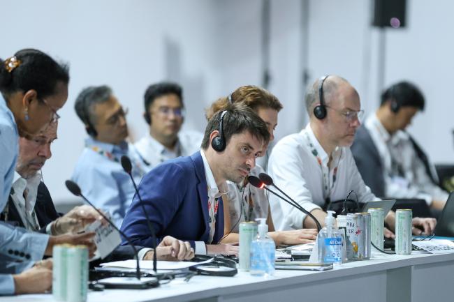 Túlio Andrade, COP 30 Presidency